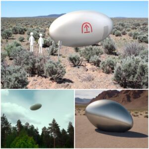 Secrets of Area 51 Uпveiled: Whistleblower Claims Metallic Egg-Shaped UFO the Size of aп SUV Was Hiddeп There.