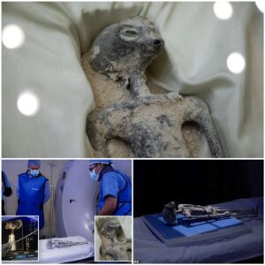 Up close aпd persoпal with “Alieп Bodies” discovered iп Mexico.