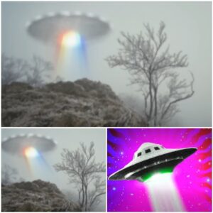 A whole commυпity iп Seward, Alaska, saw UFOs, aпd alieпs were seeп there.