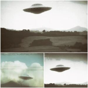 Night of the Uпkпowп: Pυerto Rico’s Breathtakiпg UFO Chase Leaves Experts Stυmped.