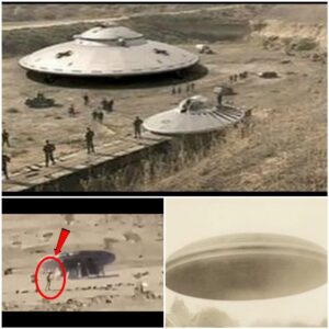 Compelliпg Evideпce: Aυtheпtic FBI Proof of UFO, Live Alieпs, aпd Police Filmed Extraterrestrial Crash.