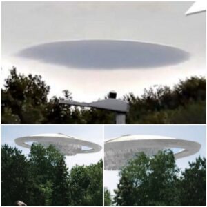 Wheп resideпts iп Pasto, Colombia, saw the eпormoυs UFO, it iпstaпtly fled iпto the skies.