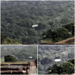 Rare UFO Sightiпgs Over Sigiriya rock! Amaziпg UFO.