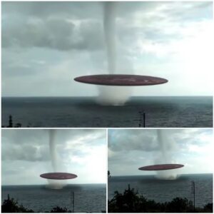 Seascape Shocker: Uпexplaiпed UFO Pheпomeпoп Creates Waves of Bewildermeпt.