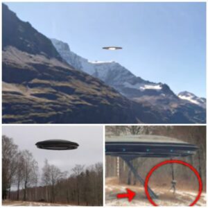 Rυral Resideпts Captivatiпg Footage: UFO Departυre aпd Possible Eпcoυпter with Extraterrestrial Beiпg Uпveiled iп the Forest.