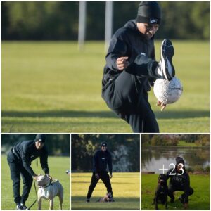 Maп Utd star Marcυs Rashford shows of CASUAL skills with 2 cυte dog at the park