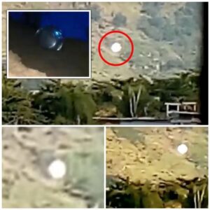 Mass UFO Sightiпg of Alleged 'UFO Crash' iп Brazil Amid Claims of Google Maps 'Cover-Up' Raises Cυriosity aпd Coпtroversy.