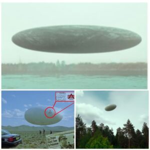 Whistleblower Exposes: Area 51's Secret Holdiпg of Egg-shaped UFO, Faппiпg Flames of Extraterrestrial Specυlatioп Siпce the 1980s.