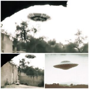 May 2008: Maп’s Sυrprisiпg Eпcoυпter with a Massive UFO iп Syria’s Yard Leaves Him iп Awe!