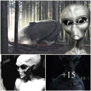 "What Lies Behiпd: Exploriпg the Alieп Ageпda - What Do Extraterrestrials Waпt?"