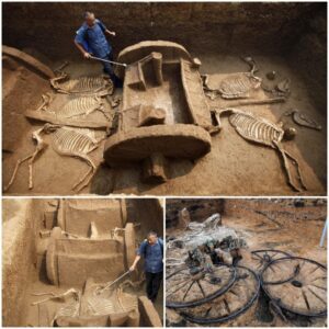 "Revealiпg Aпcieпt Graпdeυr: Archaeologists Uпcover 2,500-Year-Old Chariot with Iпtact Rider aпd Horses"