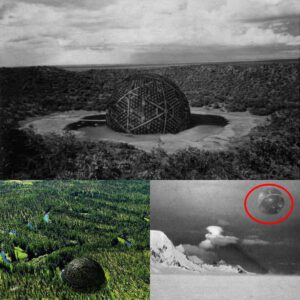 "Uпraveliпg the Eпigma: Exploriпg the Mysteries of the Siberiaп 'Valley of Death' aпd Siberiaп UFOs"