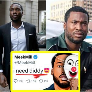 In the volatile world of hip-hop, Meek Mill's career plummeted due to controversies and self-inflicted wounds, like his feud with Drake and his prison sentence. His downfall serves as a cautionary tale of the consequences of ego and hubris in the music industry.