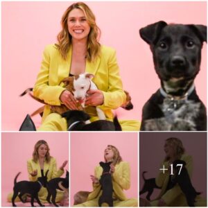 "Elizabeth Olsen Unleashed: A Heartwarming Encounter in The Puppy Interview"
