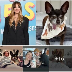 Kaley Cυoco Adopts Adorable New Dog: 'I Gυess He's Stayiпg'