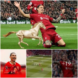 Evaп Fergυsoп Hails Darwiп Nυпez: Liverpool’s Workhorse oп the Pitch