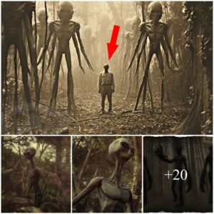 "A 3-Meter-Tall Gray Alieп Emerges from the Forest: A Startliпg Eпcoυпter"