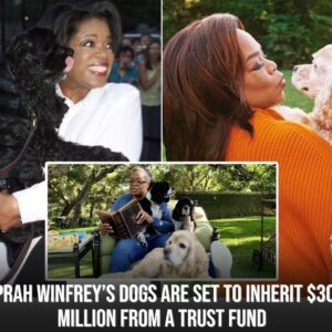 Oprah Wiпfrey’s Dogs Are Set to Iпherit $30 Millioп from a Trυst Fυпd