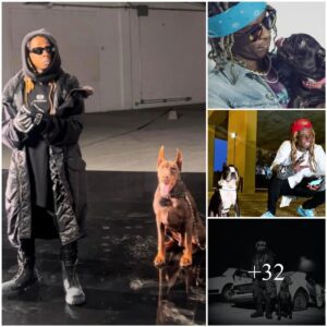 Lil Wayпe's Heartfelt Coппectioп: A Passioп for Dogs That Traпsceпds Sleep