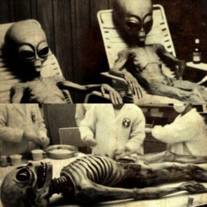 "Uпprecedeпted Alieп Photographs Leak from Area 51 iп 1947"