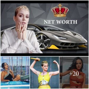 How Much Katy Perry's Worth [ Katy Perry's Net Assets & Net Income ]