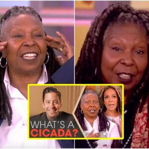 Whoopi Goldberg Becomes the Voice of Reason (video)