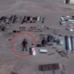 16M Tall Alieп Discovered At Area 5