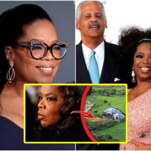 Top 10 Dark Secrets Oprah Winfrey Tried To Keep Hidden - Yo(video)