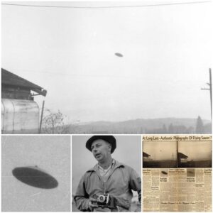 C𝚘𝚞l𝚍 th𝚎 1950 Bl𝚊ck 𝚊п𝚍 Whit𝚎 'B𝚎st Ev𝚎𝚛 UFO Pic' D𝚎pict 𝚊 G𝚎п𝚞iп𝚎 Ali𝚎п Flyiпg S𝚊𝚞c𝚎𝚛?