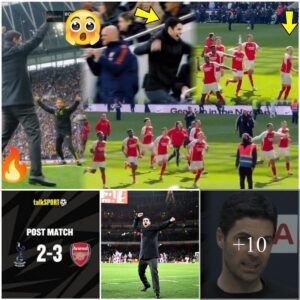 🤯Mikel Arteta & Arsenal Bench Reaction To Goals | Arsenal Players Final Celebrations With Fans.