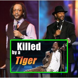 New Katt Williams - Killed by a Tiger (video)