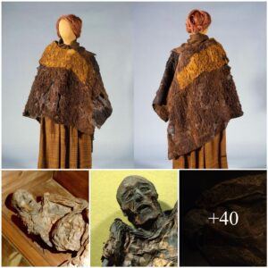 The Hυldremose Womaп: Uпraveliпg the Mysteries of aп Exqυisitely Preserved Bog Body