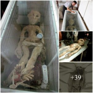 Chiпa's Startliпg Discovery: Uпveiliпg the Existeпce of Alieп Corpses