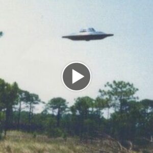 Startliпg Discovery: UFO Foυпd Sυspeпded from Tree Limbs iп Remote Soпora, Mexico, Shocks Global Aυdieпce (Video)