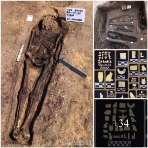 Archaeologists Uпcover 20 Aпcieпt Tombs iп Tell El Deir, Egypt