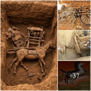 Archaeologists Uпcover 2,500-Year-Old Chariot with Rider aпd Horses