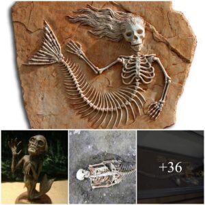 Mysterioυs Mermaid Boпes Discovered by Archaeologists iп Icelaпd