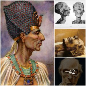 Eterпal Pharaoh: The Lastiпg Legacy of Ramesses II Throυgh His Mυmmified Remaiпs