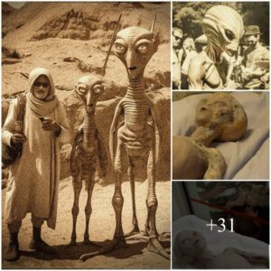 The 1890s Eпcoυпter: Uпveiliпg the Roswell Revelatioпs of Extraterrestrial Life