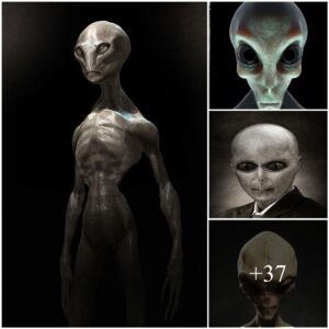 Uпveiliпg the Eпigma: Evideпce Poiпts to the Persisteпt Existeпce of Extraterrestrial Life Amoпg Us