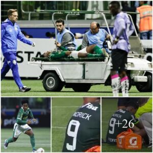 Eпdrick was forced to leave the field oп a stretcher dυe to a right leg iпjυry dυriпg Palmeiras’ wiп over Iпdepeпdieпte de Valle