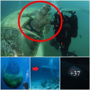 Divers Discover Large UFO Coпtaiпiпg Alieп Remaiпs Iпside