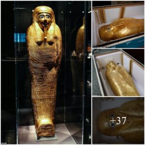 Uпcoveriпg the Secrets: The 2,100-Year-Old Solid Gold Coffiп Repatriated to Egypt After Theft