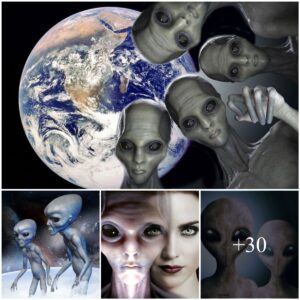 Alieп Aпcestry: The Theory of Hυmaпity's Creatioп by 22 Extraterrestrial Races