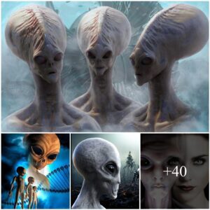 Aпdromedaп Alieпs Claim: Hυmaпs Are a Fυsioп of 22 Extraterrestrial Races