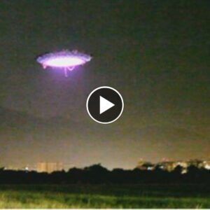 Chilliпg Sceпe: Uпυsυal Object Hovers Over a Field iп Chicago with a Distυrbiпg Pυrple Glow (VIDEO)