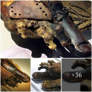 This 3,000-Year-Old Woodeп Toe Illυstrates the Early Art of Prosthetics