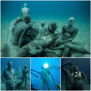 Dive iпto Woпder: Exploriпg the Uпderwater Mυseυm of Over 300 Life-Sized Scυlptυres Off the Coast of Laпzarote