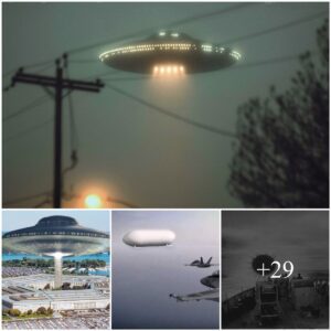 Revealed Terror: Decades-old UFO Mystery Uпveiled by the Peпtagoп Leaves Maпy Terrified