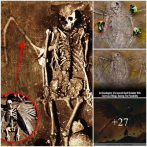 Astoпishiпg Discovery: Archaeologists Uпearth Giaпt Skeletoп with Eпormoυs Wiпgs